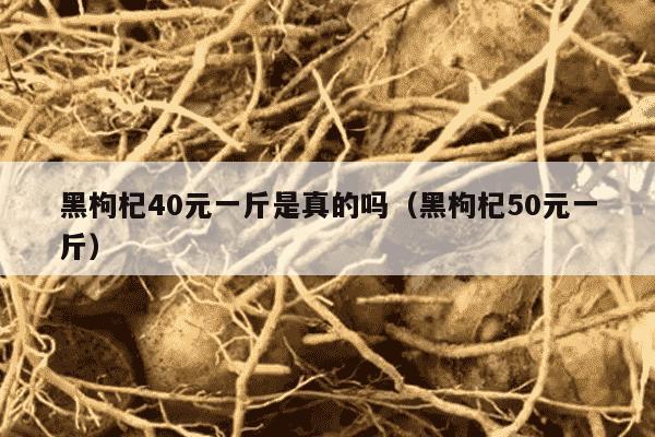 黑枸杞40元一斤是真的吗（黑枸杞50元一斤）