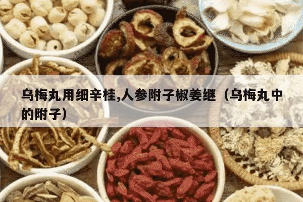 乌梅丸用细辛桂,人参附子椒姜继（乌梅丸中的附子）