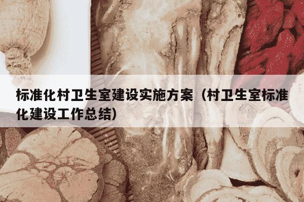 标准化村卫生室建设实施方案（村卫生室标准化建设工作总结）