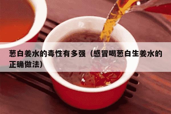 葱白姜水的毒性有多强（感冒喝葱白生姜水的正确做法）