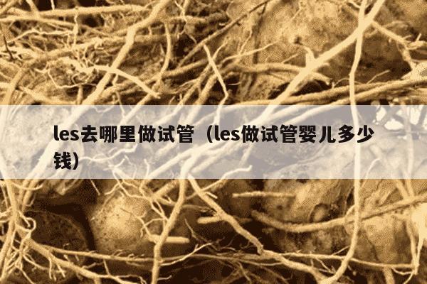 les去哪里做试管（les做试管婴儿多少钱）