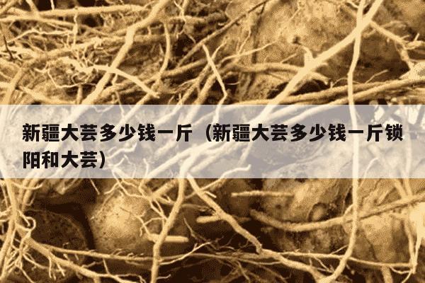 新疆大芸多少钱一斤（新疆大芸多少钱一斤锁阳和大芸）