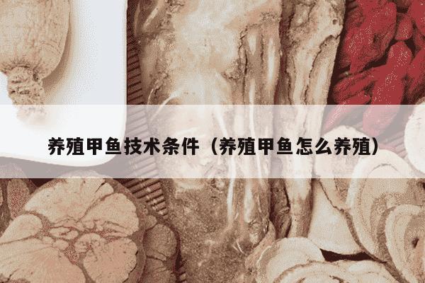 养殖甲鱼技术条件（养殖甲鱼怎么养殖）