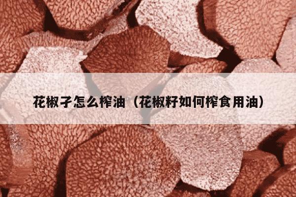 花椒孑怎么榨油（花椒籽如何榨食用油）