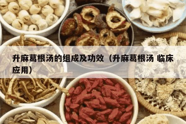 升麻葛根汤的组成及功效（升麻葛根汤 临床应用）