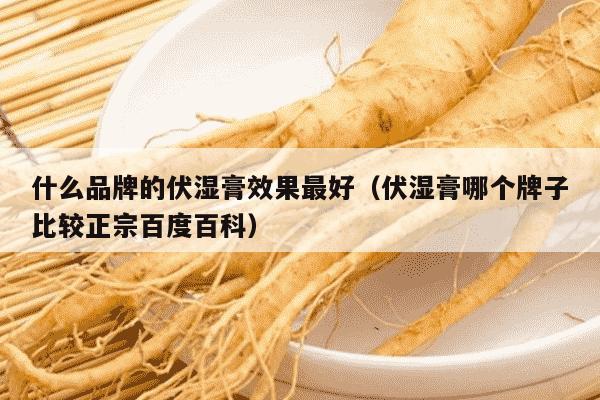 什么品牌的伏湿膏效果最好（伏湿膏哪个牌子比较正宗百度百科）