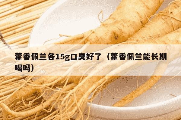藿香佩兰各15g口臭好了（藿香佩兰能长期喝吗）
