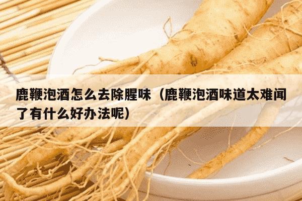 鹿鞭泡酒怎么去除腥味（鹿鞭泡酒味道太难闻了有什么好办法呢）