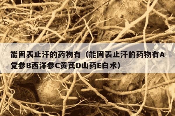 能固表止汗的药物有（能固表止汗的药物有A党参B西洋参C黄芪D山药E白术）