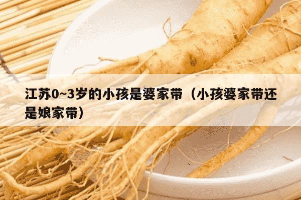 江苏0~3岁的小孩是婆家带（小孩婆家带还是娘家带）