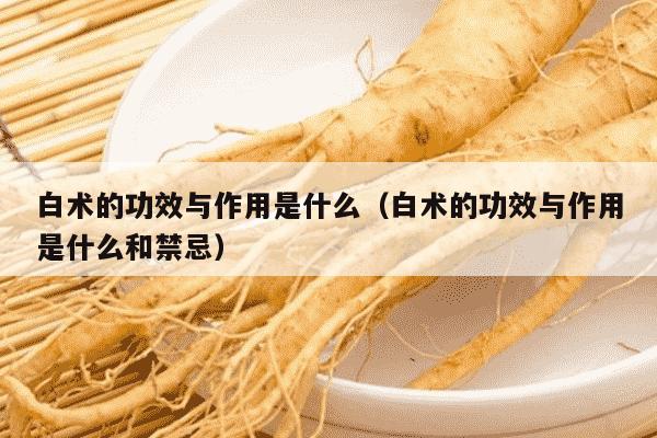 白术的功效与作用是什么（白术的功效与作用是什么和禁忌）