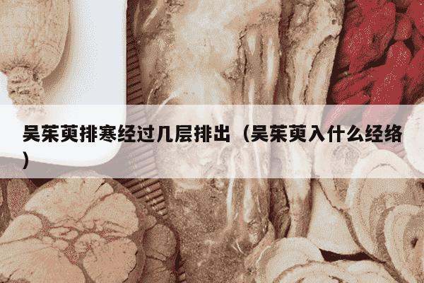 吴茱萸排寒经过几层排出（吴茱萸入什么经络）