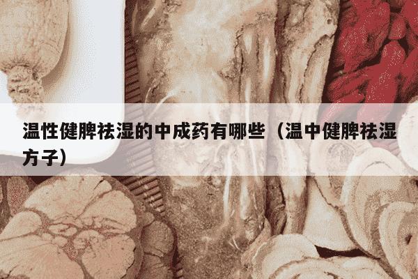 温性健脾祛湿的中成药有哪些（温中健脾祛湿方子）