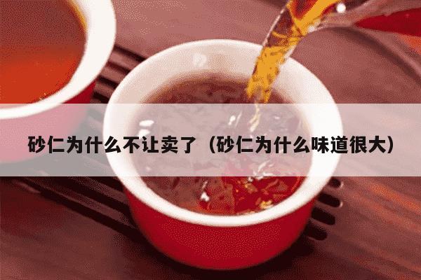 砂仁为什么不让卖了（砂仁为什么味道很大）