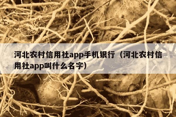 河北农村信用社app手机银行（河北农村信用社app叫什么名字）