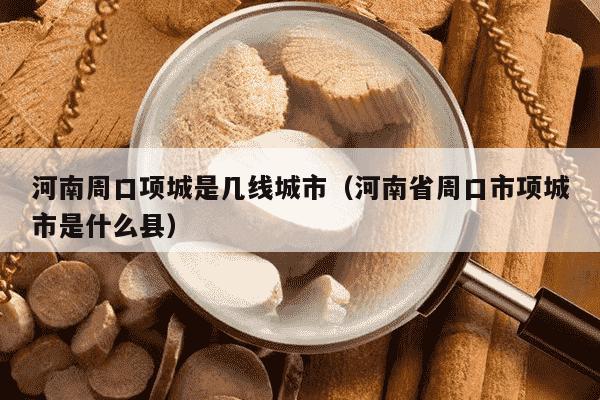 河南周口项城是几线城市（河南省周口市项城市是什么县）