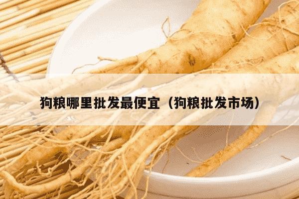 狗粮哪里批发最便宜（狗粮批发市场）