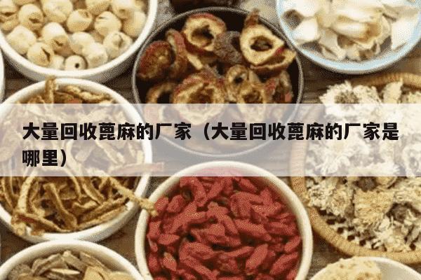 大量回收蓖麻的厂家（大量回收蓖麻的厂家是哪里）