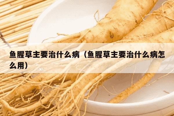 鱼腥草主要治什么病（鱼腥草主要治什么病怎么用）