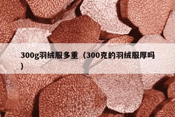 300g羽绒服多重（300克的羽绒服厚吗）