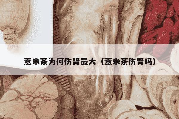 薏米茶为何伤肾最大（薏米茶伤肾吗）