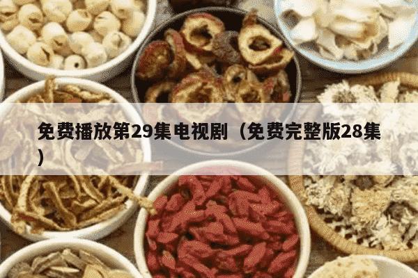免费播放第29集电视剧（免费完整版28集）