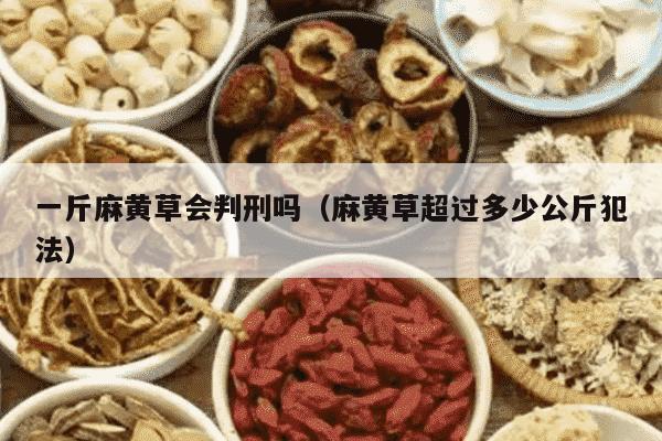 一斤麻黄草会判刑吗（麻黄草超过多少公斤犯法）