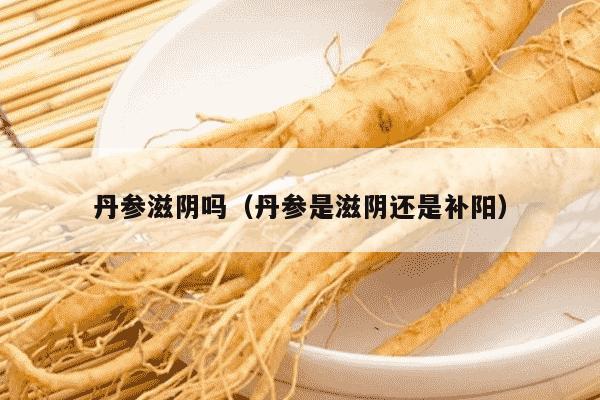 丹参滋阴吗（丹参是滋阴还是补阳）