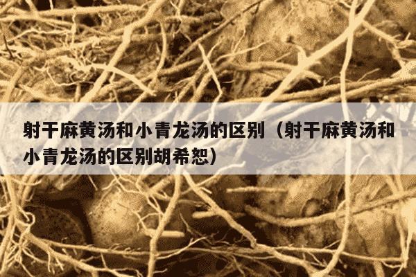 射干麻黄汤和小青龙汤的区别（射干麻黄汤和小青龙汤的区别胡希恕）