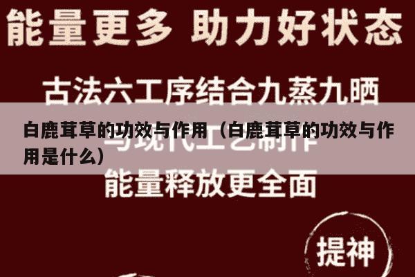 白鹿茸草的功效与作用（白鹿茸草的功效与作用是什么）