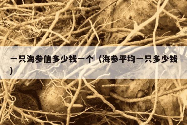 一只海参值多少钱一个（海参平均一只多少钱）