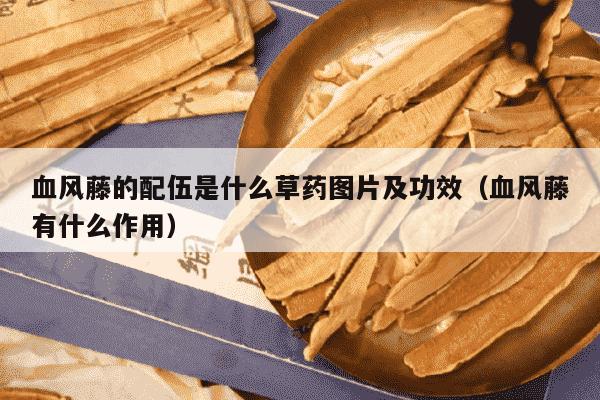 血风藤的配伍是什么草药图片及功效（血风藤有什么作用）