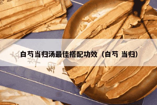 白芍当归汤最佳搭配功效（白芍 当归）