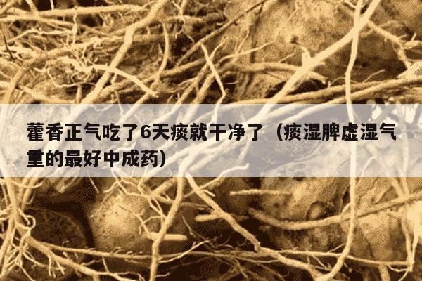 藿香正气吃了6天痰就干净了（痰湿脾虚湿气重的最好中成药）