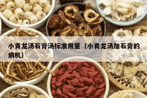 小青龙汤石膏汤标准用量（小青龙汤加石膏的病机）