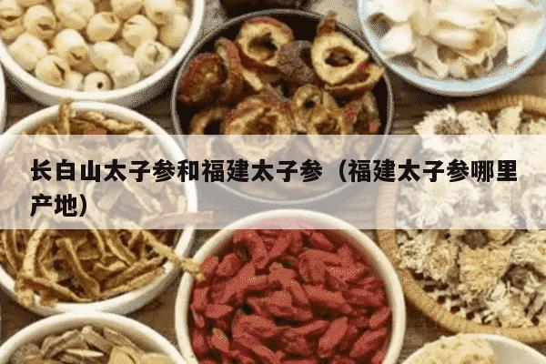 长白山太子参和福建太子参（福建太子参哪里产地）