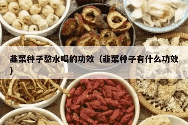 韭菜种子熬水喝的功效（韭菜种子有什么功效）