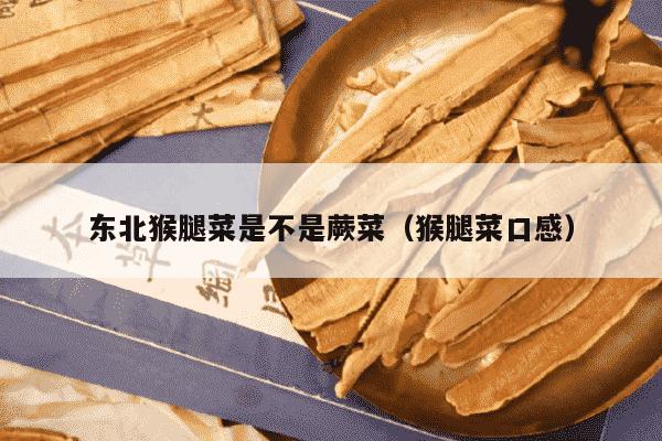 东北猴腿菜是不是蕨菜（猴腿菜口感）