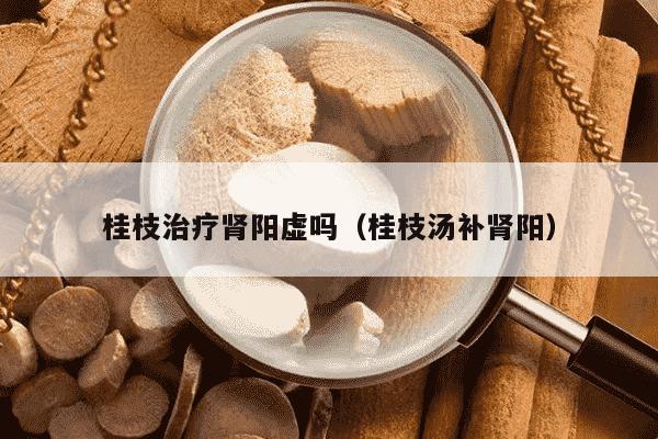 桂枝治疗肾阳虚吗（桂枝汤补肾阳）