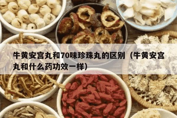 牛黄安宫丸和70味珍珠丸的区别（牛黄安宫丸和什么药功效一样）