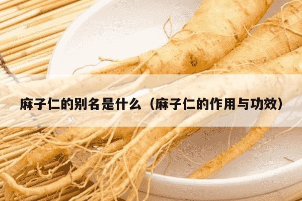 麻子仁的别名是什么（麻子仁的作用与功效）