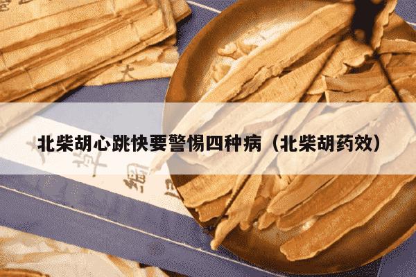 北柴胡心跳快要警惕四种病（北柴胡药效）
