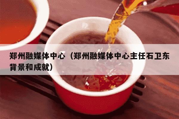 郑州融媒体中心（郑州融媒体中心主任石卫东背景和成就）