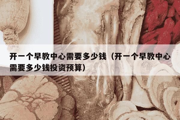 开一个早教中心需要多少钱（开一个早教中心需要多少钱投资预算）