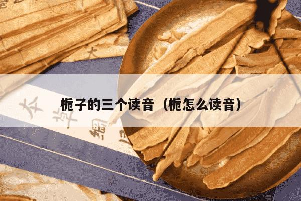 栀子的三个读音（栀怎么读音）