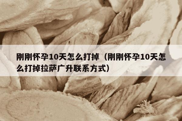 刚刚怀孕10天怎么打掉（刚刚怀孕10天怎么打掉拉萨广升联系方式）