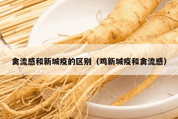 禽流感和新城疫的区别（鸡新城疫和禽流感）