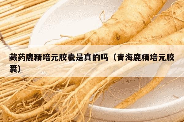 藏药鹿精培元胶囊是真的吗（青海鹿精培元胶囊）