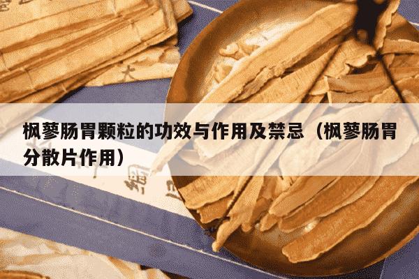 枫蓼肠胃颗粒的功效与作用及禁忌（枫蓼肠胃分散片作用）