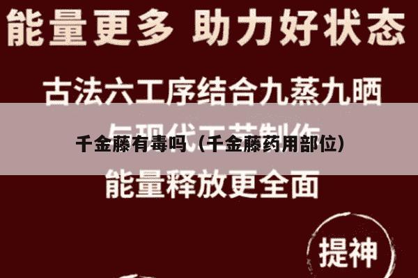 千金藤有毒吗（千金藤药用部位）